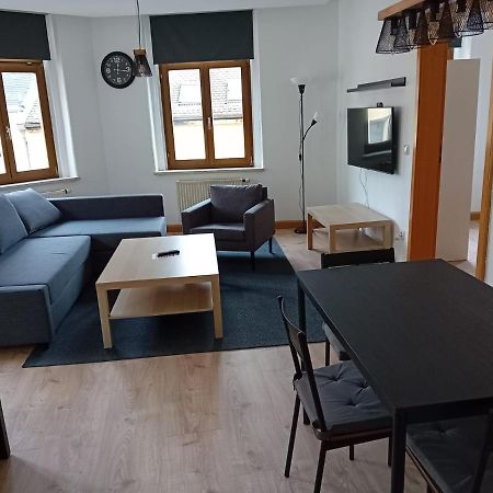 Zentral Und Ruhig In Auerbach Apartment Ауербах Екстериор снимка