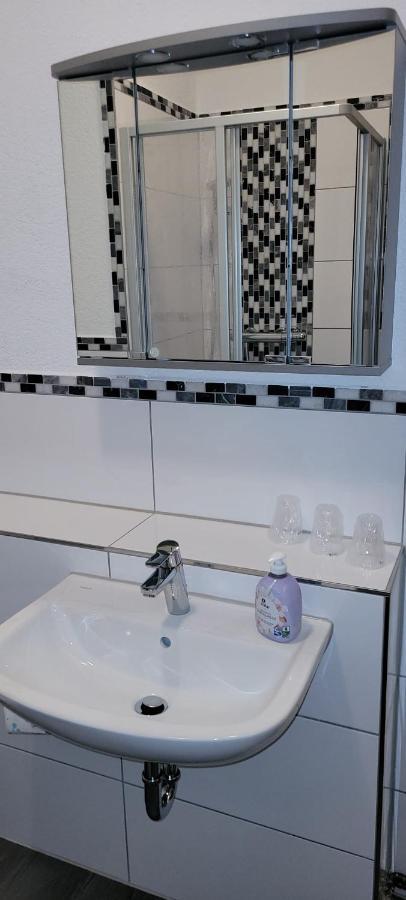 Zentral Und Ruhig In Auerbach Apartment Ауербах Екстериор снимка