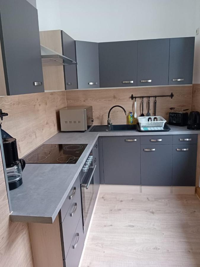 Zentral Und Ruhig In Auerbach Apartment Ауербах Екстериор снимка