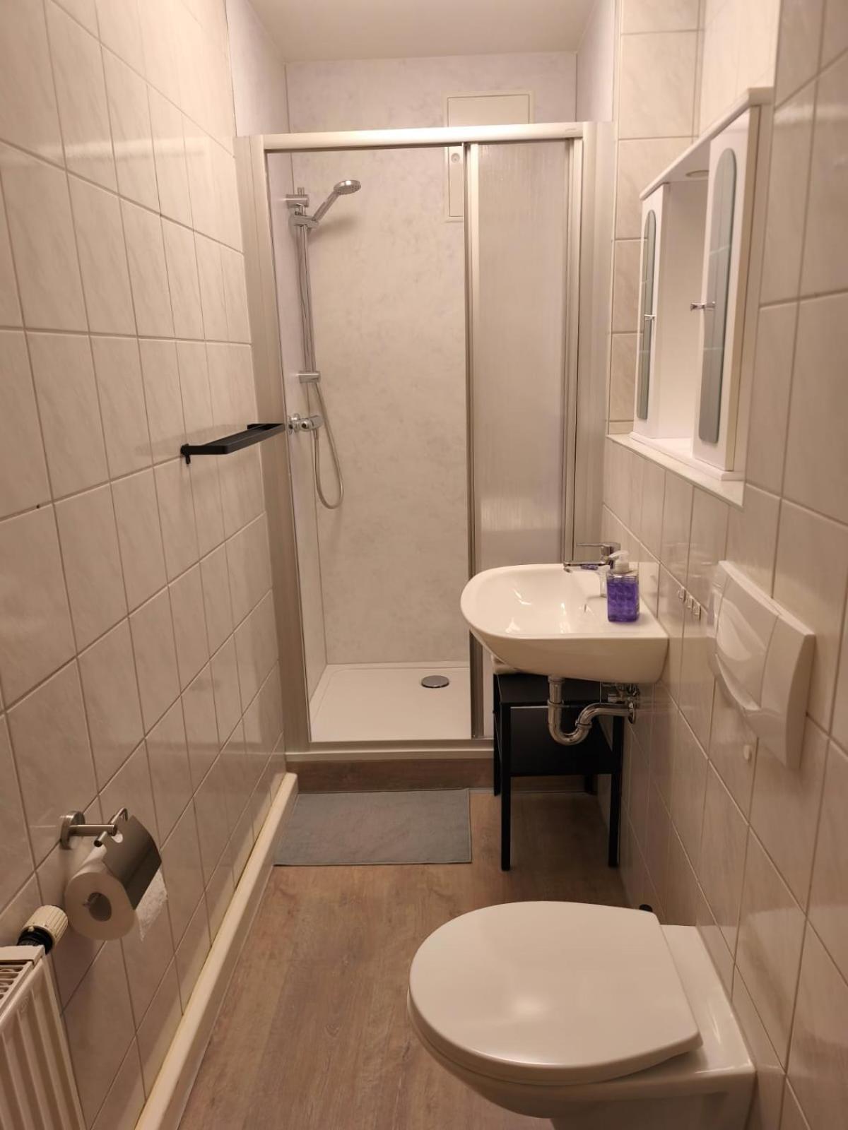 Zentral Und Ruhig In Auerbach Apartment Ауербах Екстериор снимка